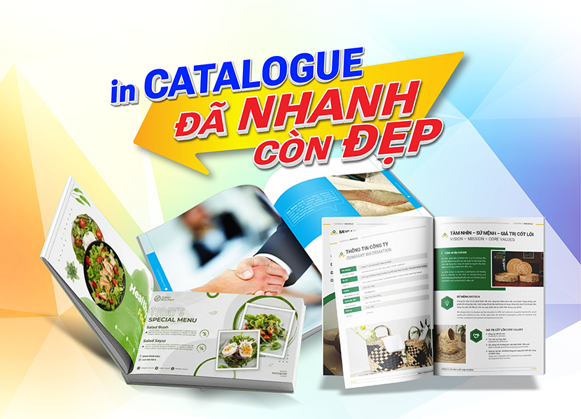 in catalogue bia cung